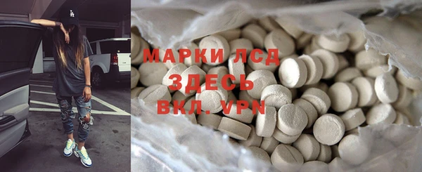 индика Балахна