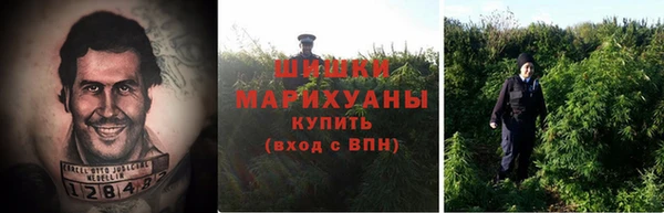 каннабис Арсеньев